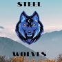 @steelwolves5762