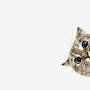 @TheCapitalistCat