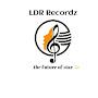 @ldrrecordz1355