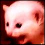 @ngvot