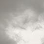 @yoush6003