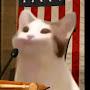 @popcatfan7