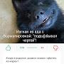 @fzf14