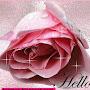 @govindgoyal3403