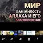@muradhalmetov6567