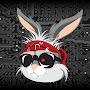 @bucky.jackrabbit