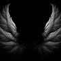 @darkhawk5155