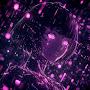 @Cyril_Frolov