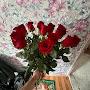 @Пользователь-к5м3р