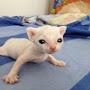 @Meow-ru4dp