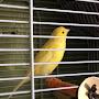 @fredd4438