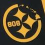 @mr808steelers