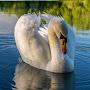 @moon_linda0712