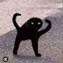 @cursedcatmemes