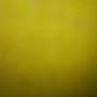 @reynaldo5080