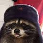 @raccoonconnoisseur7527