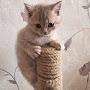 @КитиЛина-ц2ь