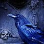 @deaththeraven7930
