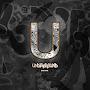 @undergroundculture8549