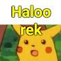 @haloo_rek