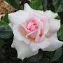 @m06een00