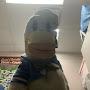 @Donaldduck56-r7t