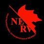 @nervinc2766