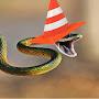 @traffic_cone_snake