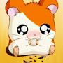 @hamster7093