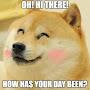 @doge6806