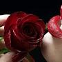 @alexiaguez8573