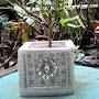 @designerpotandplanter1004