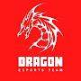 @dragon_esports_team