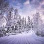 @Snowfall4
