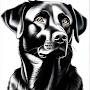 @famolsenhund