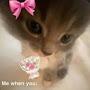 @patricialockhart5510