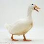 @DaltonMcClintock