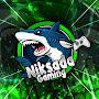 @NiksadaGaming