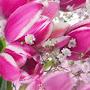 @danielamavra6656
