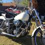 @81shovelhead