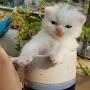 @rahidul_alam811