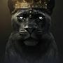 @KingPanther-y7g