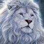 @Abdulbos1t