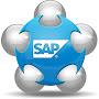 @SAPMMConsultant
