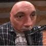 @Elonfuckingmusk