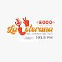 @laveteranafmtolima1564