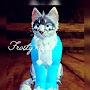 @Frostynight_warriorcat