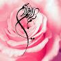 @nawalaboud7570