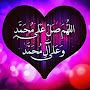 @islamislamovih6726
