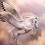 @unicornbabyhorn1847